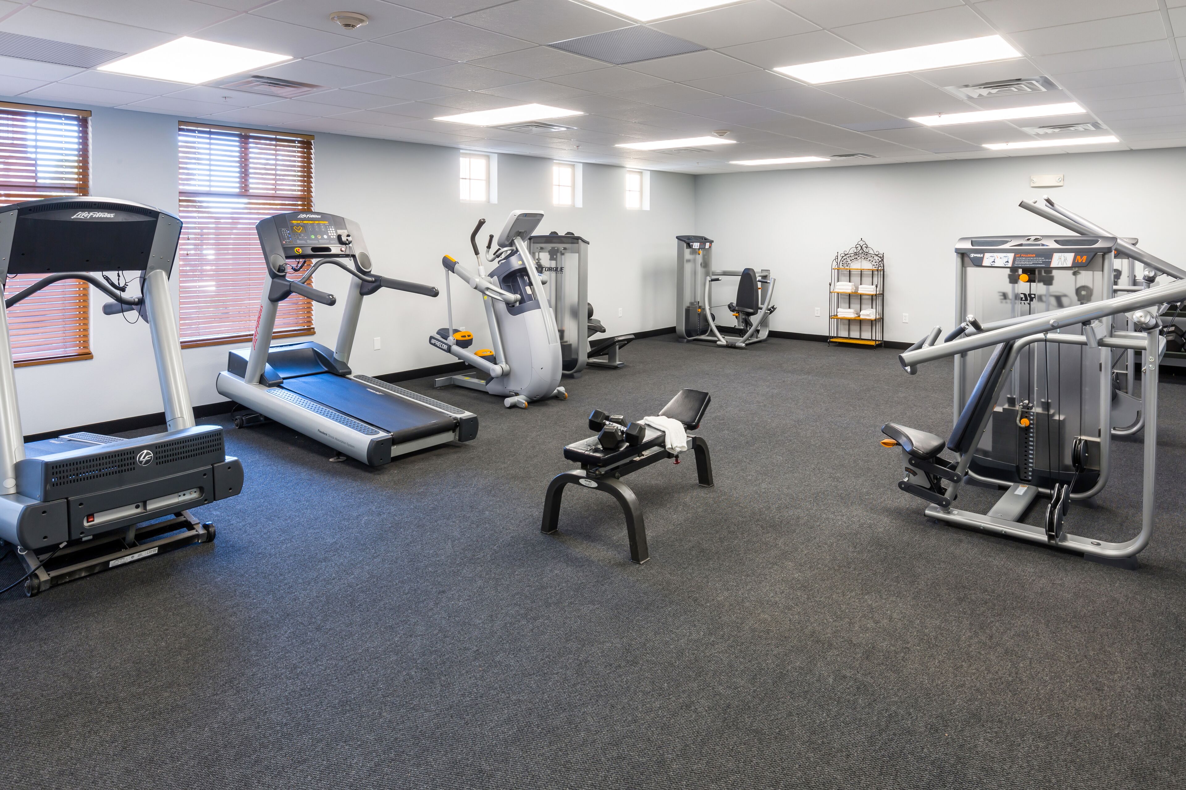 A gym with treadmills, elliptical machines, and weight equipment.