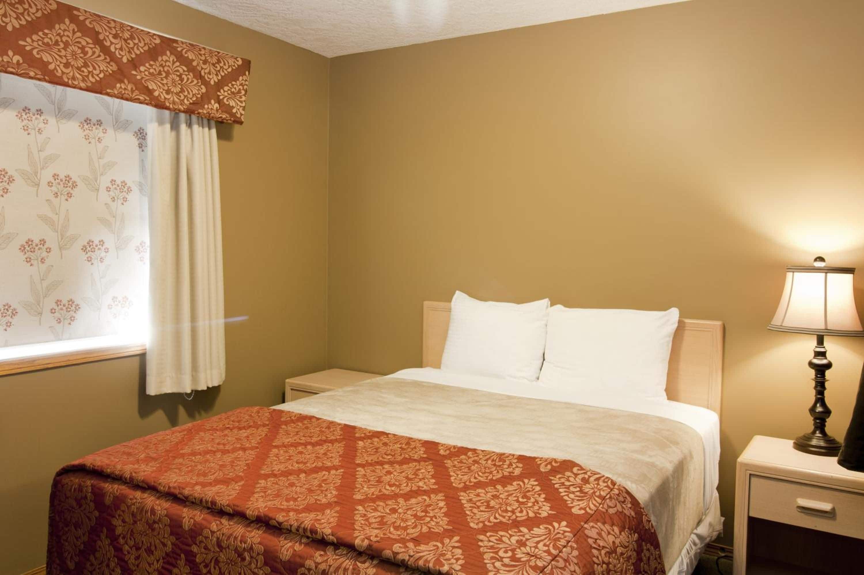 A hotel room with a bed, a nightstand, a lamp, and a window with curtains.