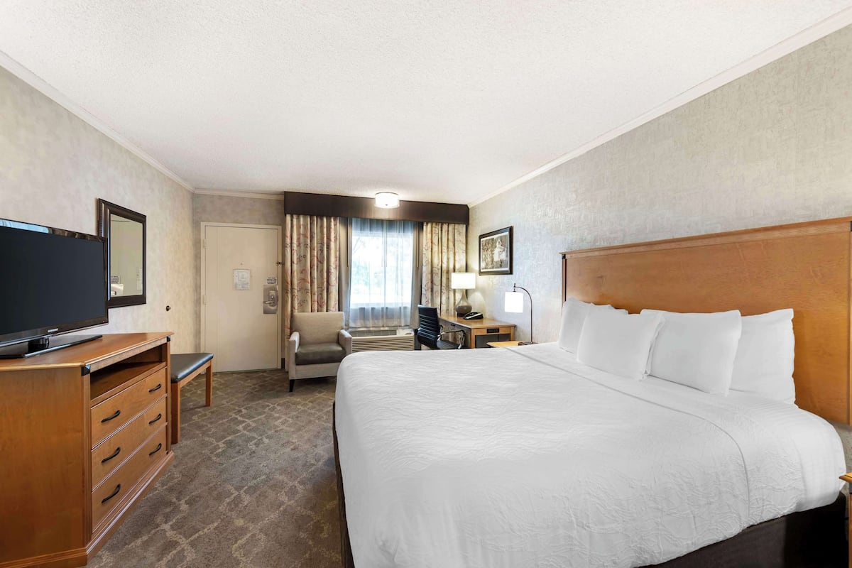Une chambre d’hôtel avec un grand lit, une télévision, un bureau avec une lampe et une chaise.