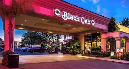 Best Western Plus Black Oak