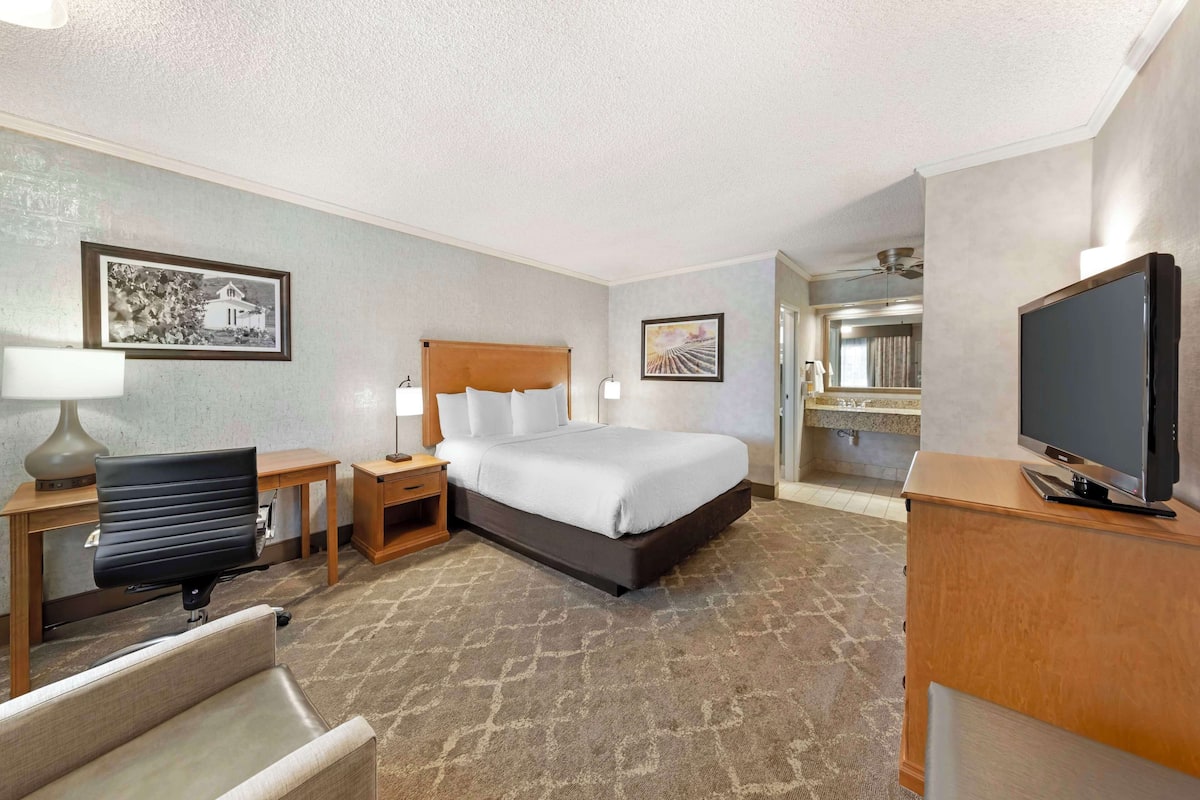 Une chambre d’hôtel avec un lit, un bureau, une chaise, une télévision et une salle de bain visible à travers une porte ouverte.