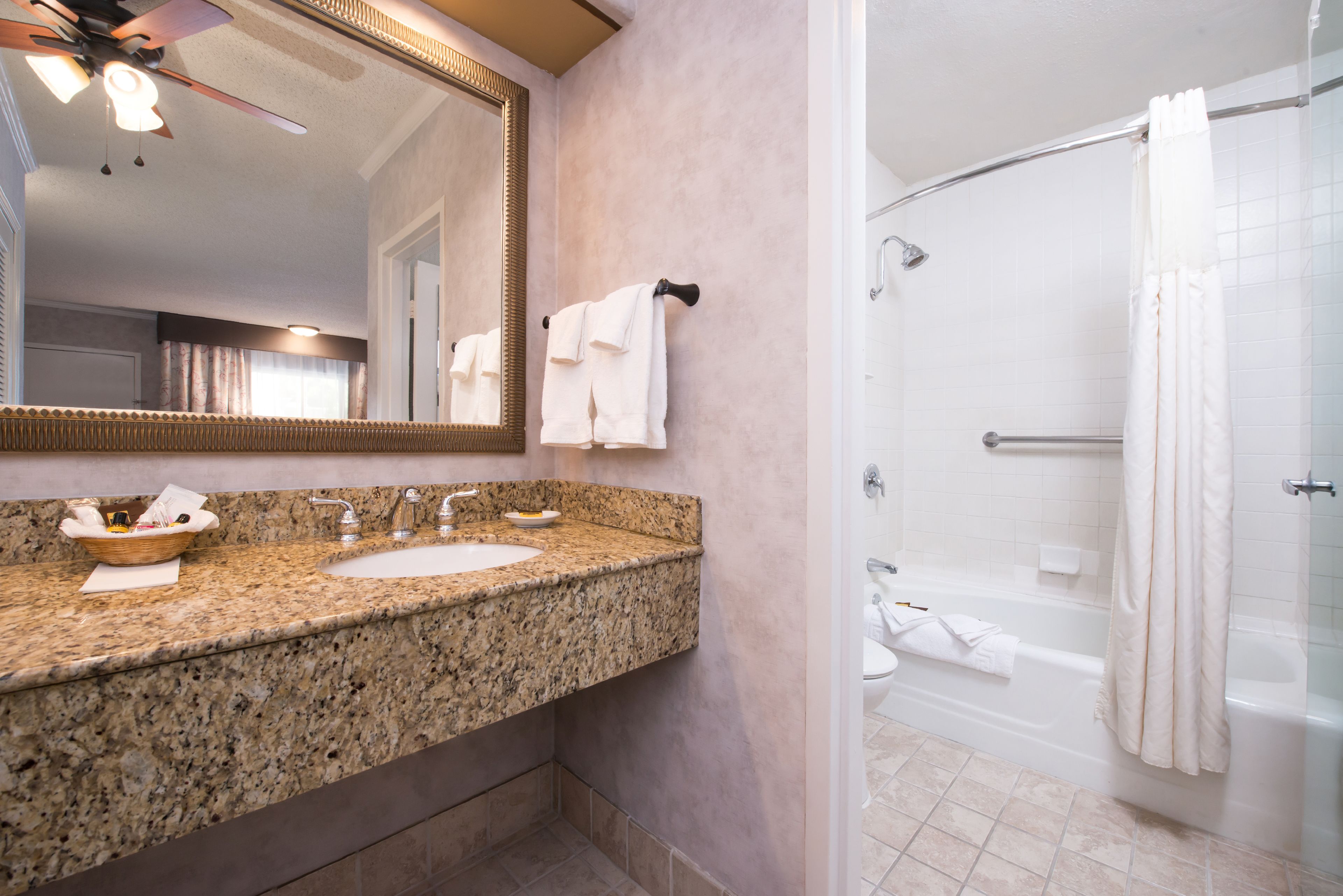 combined shower/bathtub, hydromassage showerhead