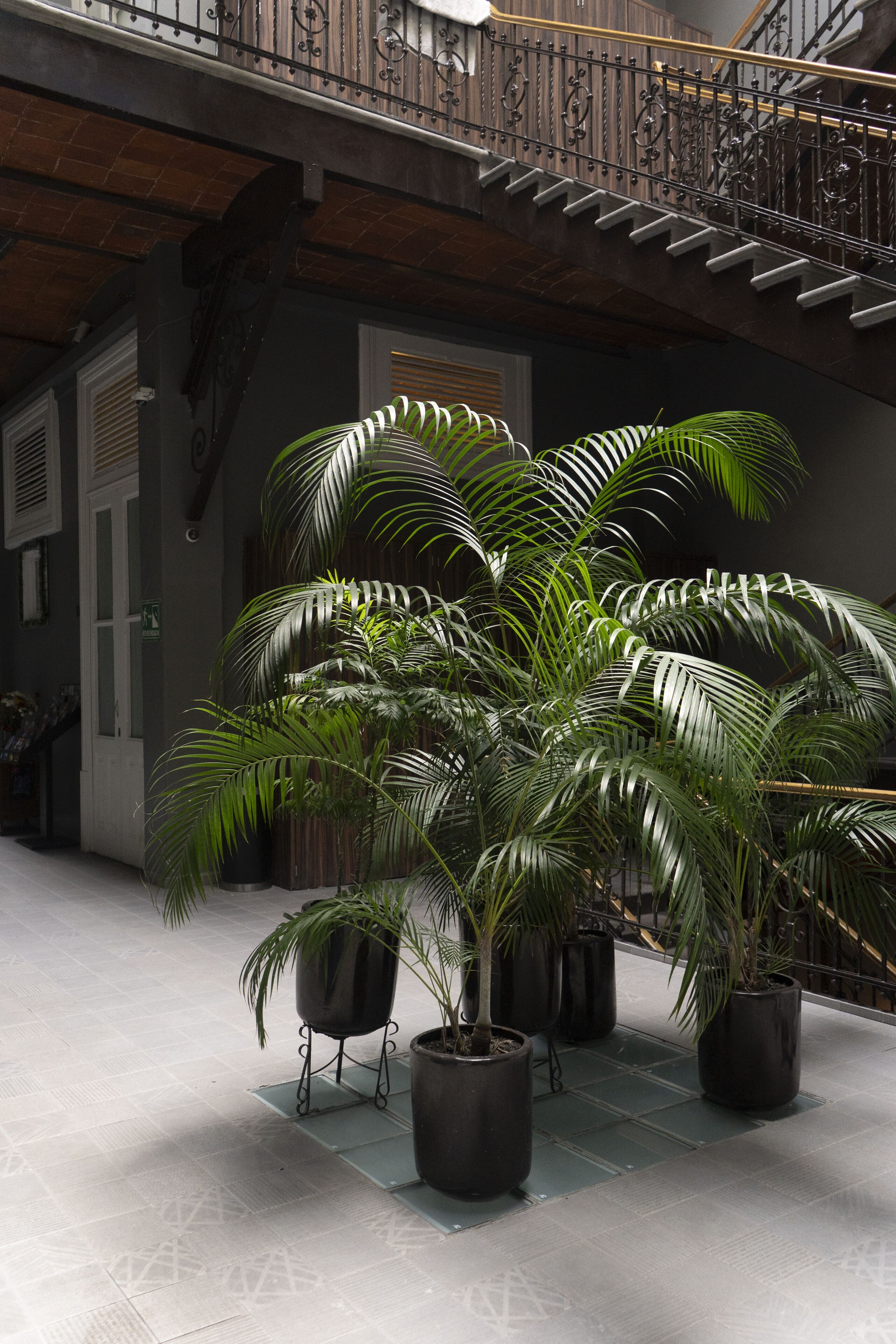 Foto - Hotel Principal