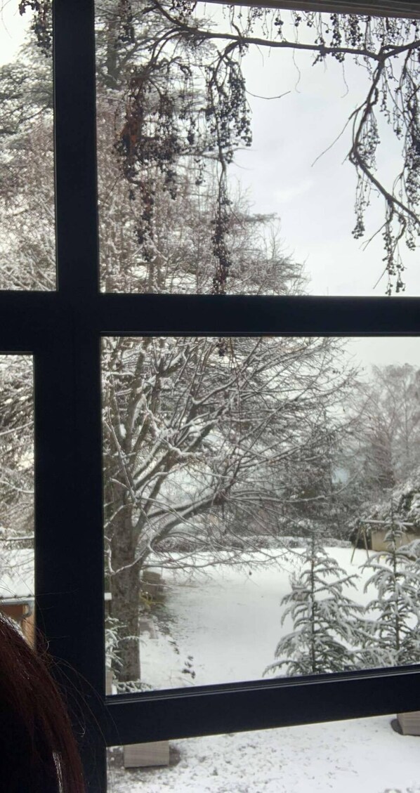 A view through a window with a snow-covered landscape, including trees and a clear sky.