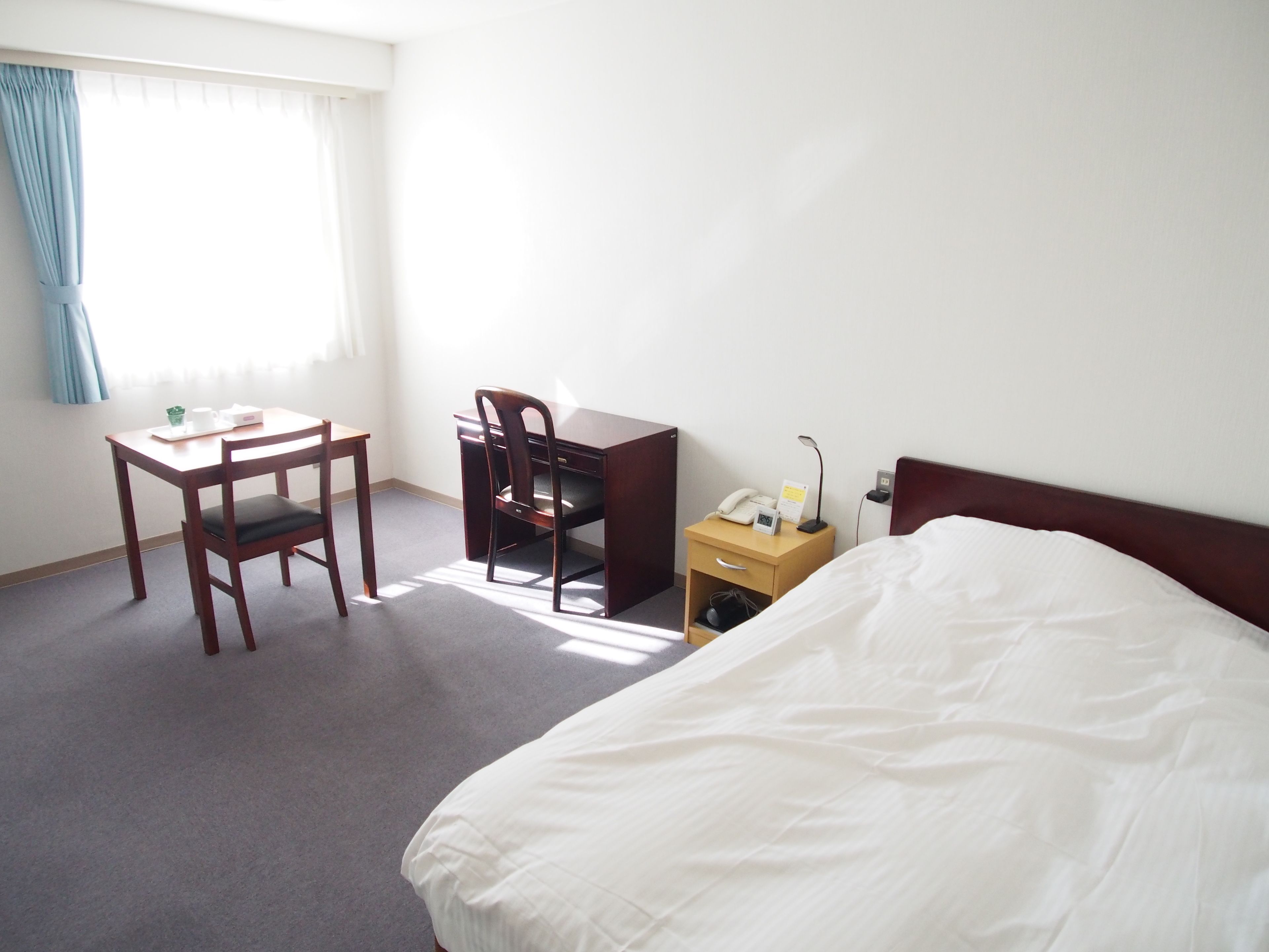 single room, non smoking | view from room