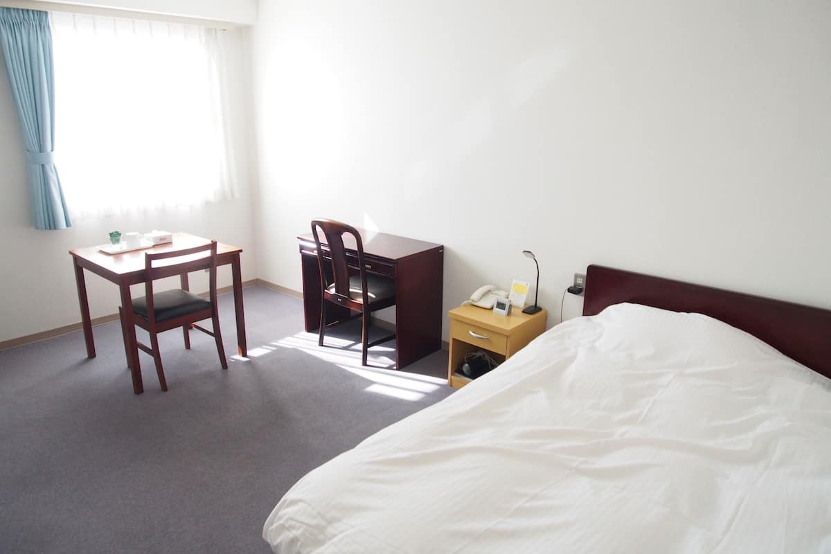 single room, non smoking | view from room