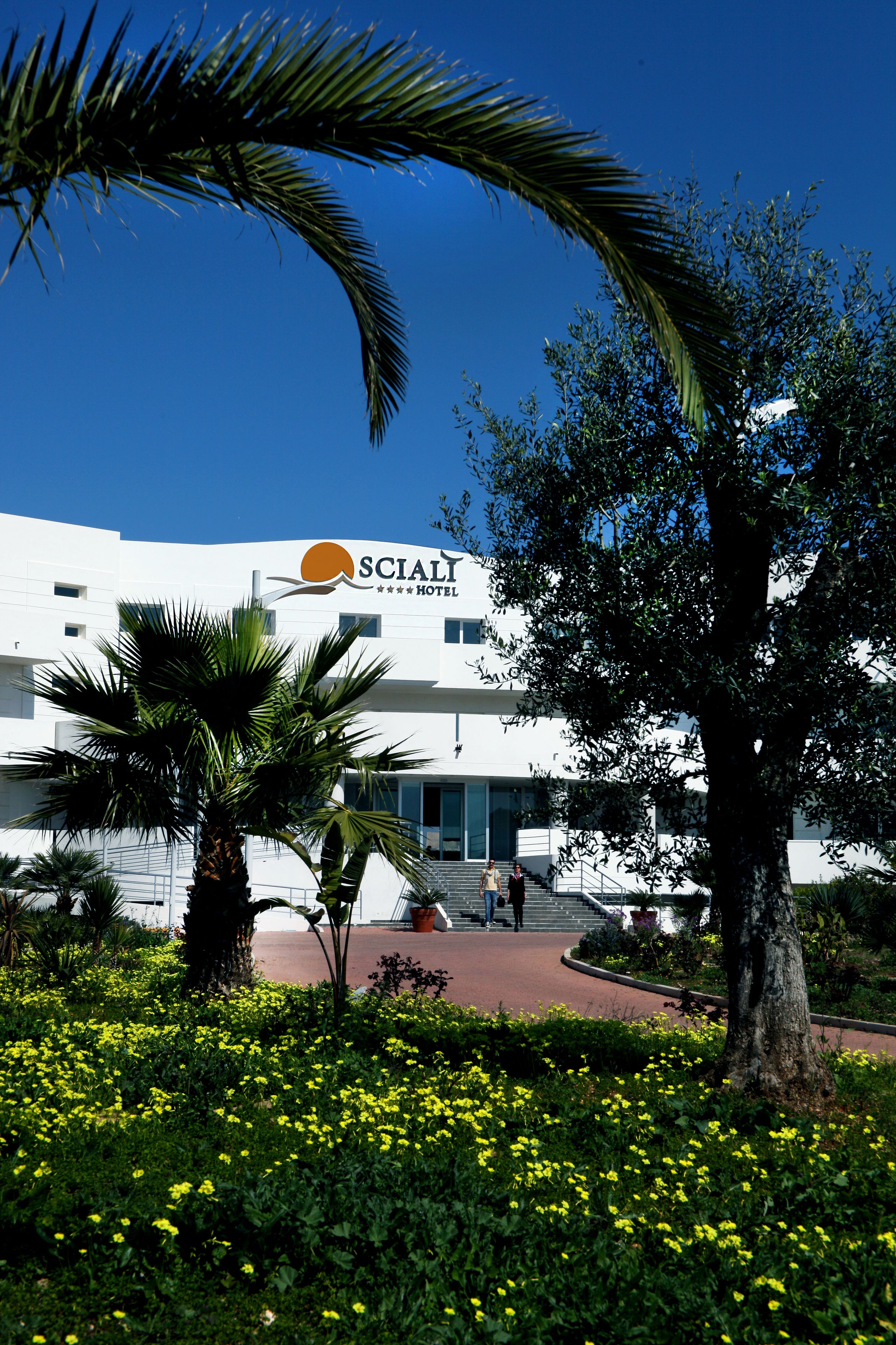 Photo - Hotel Scialì