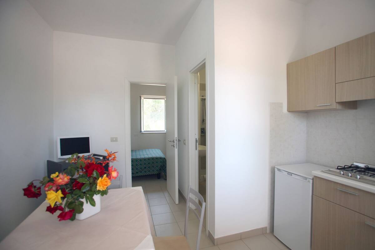 A compact room with a bed, a small desk, a TV, a kitchenette, and a bathroom visible through an open door.