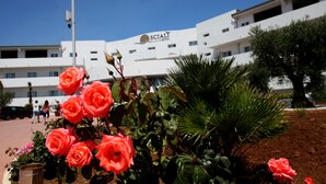 A hotel with a modern white facade, a visible sign reading "SCIALI HOTEL," and a well-maintained garden with pink roses in the foreground. - Scialì Hotel (Vieste)