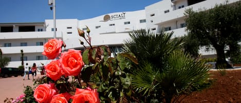 A hotel with a modern white facade, a visible sign reading "SCIALI HOTEL," and a well-maintained garden with pink roses in the foreground.