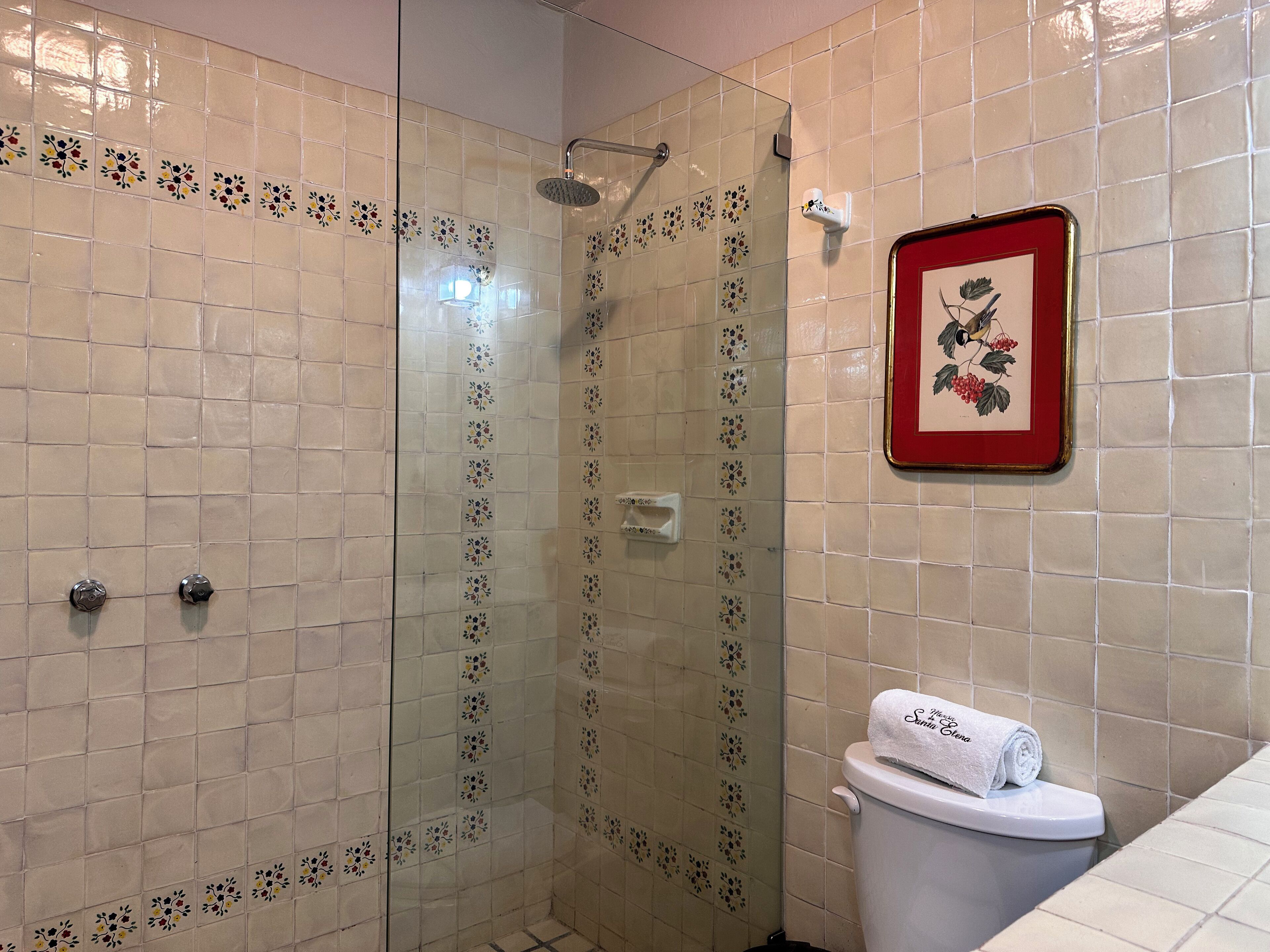 A bathroom with a glass shower enclosure, a toilet with a towel, and a framed picture on the wall.