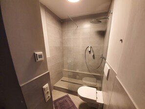 Douche, articles de toilette gratuits, sèche-cheveux, chaussons