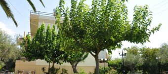 ヴィラ アニネラ