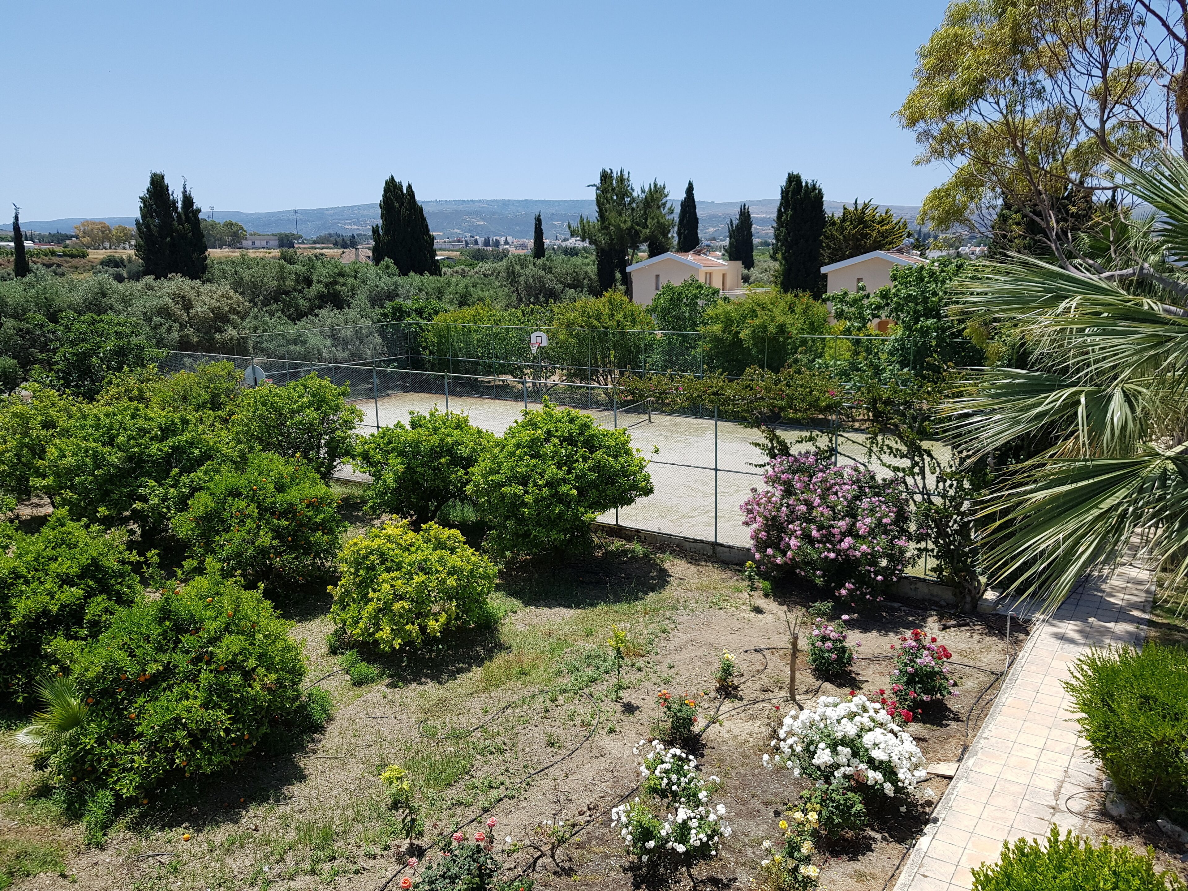 garden view