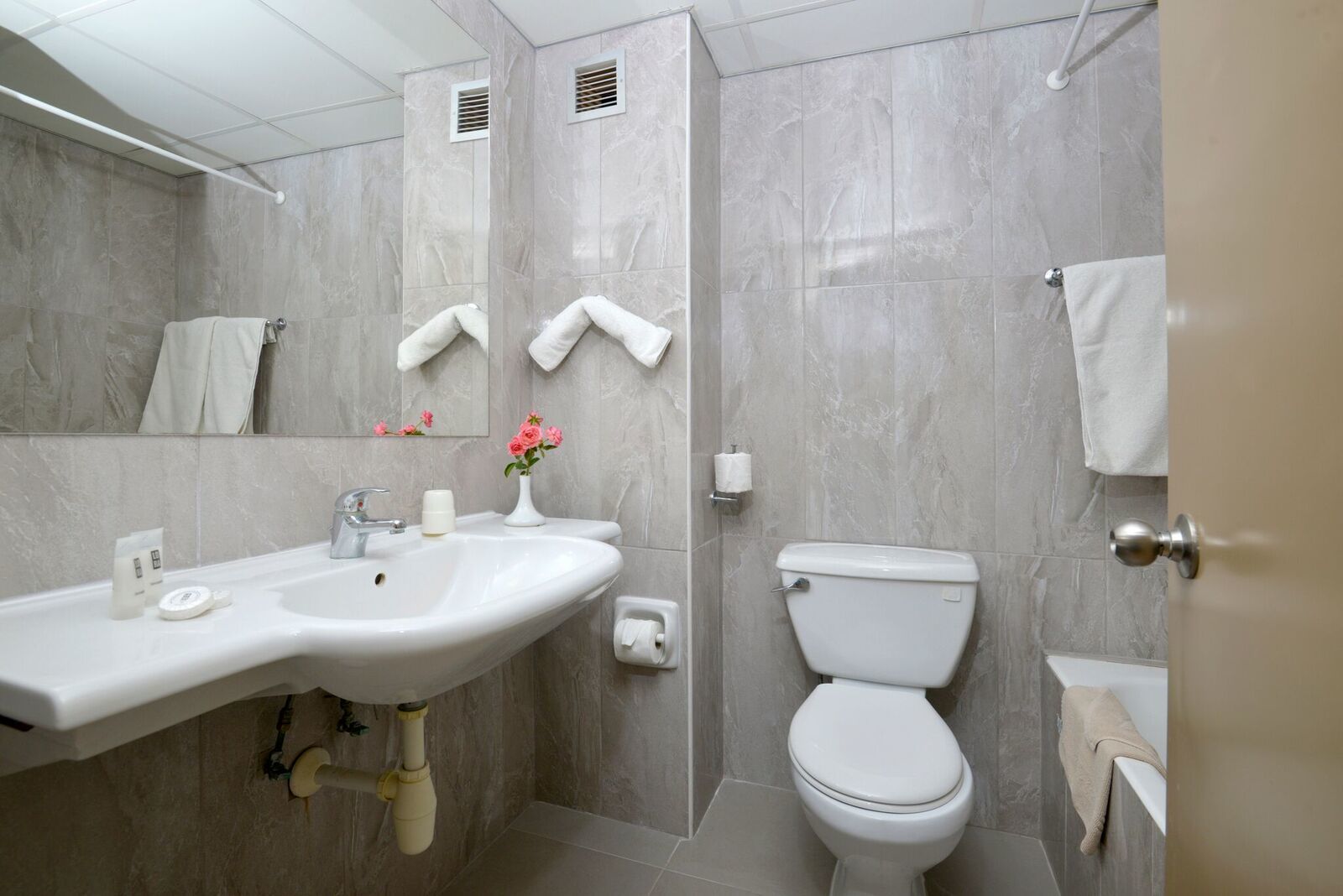 combined shower/bathtub, free toiletries, towels