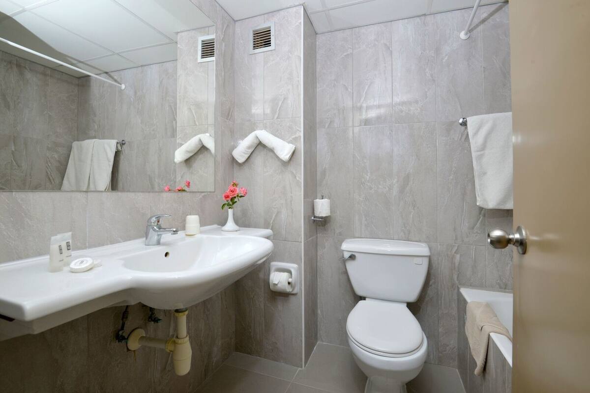 combined shower/bathtub, free toiletries, towels