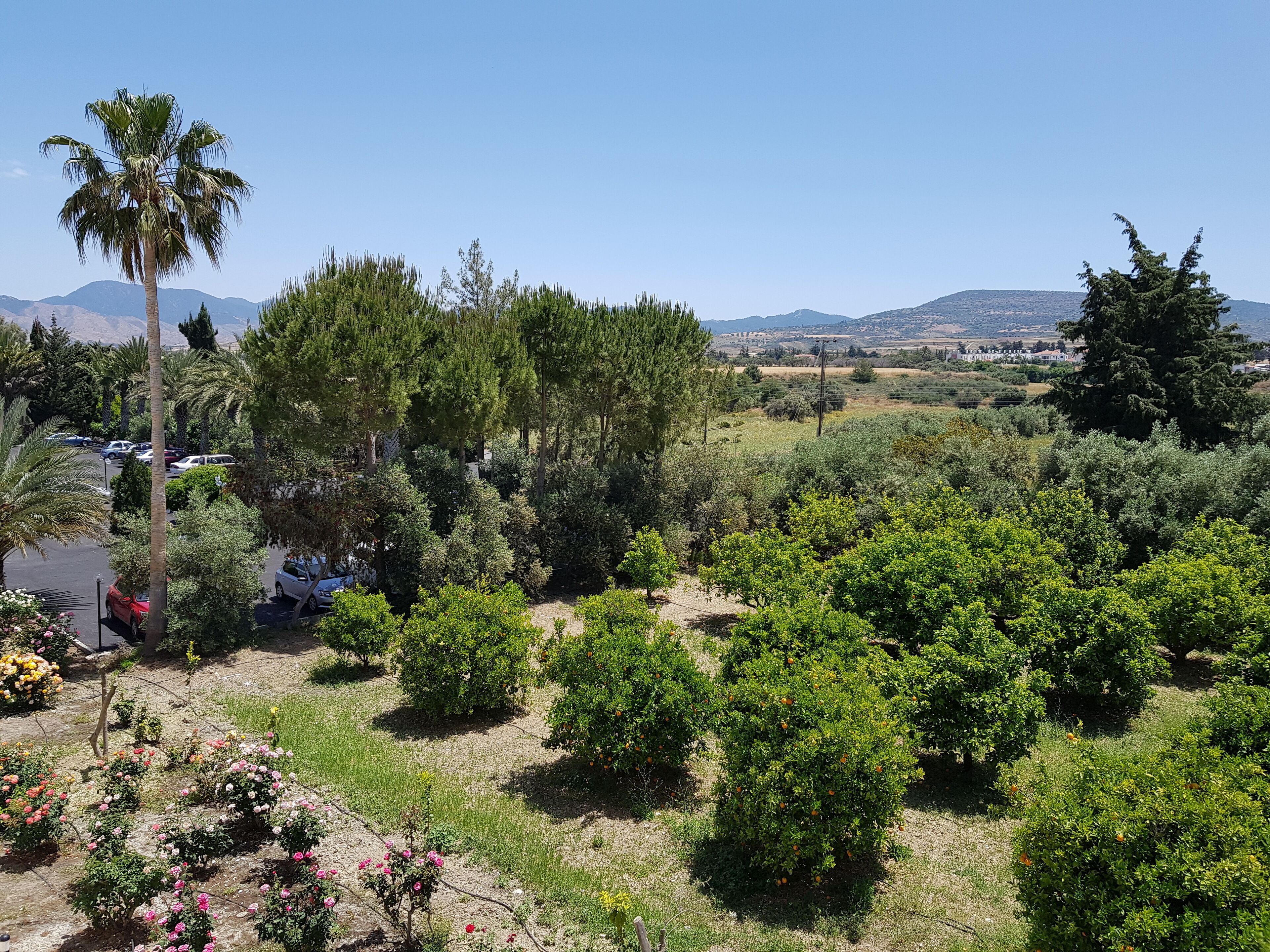 family room, garden view | garden view