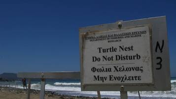 Protecting turtle nesting sites is a priority at this beach.