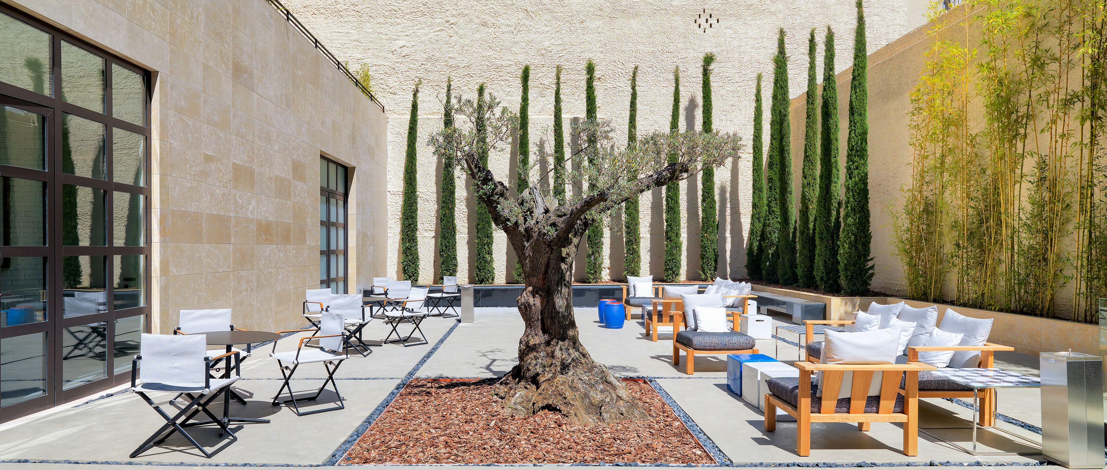 Un espace extérieur aménagé avec des tables et des chaises, un grand arbre et un mur végétal vertical adossé à la façade d’un bâtiment.