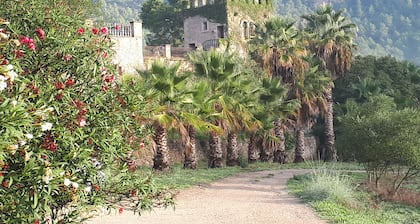 Finca Hotel Son Pont
