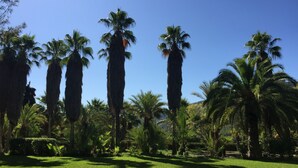 A lush garden with tall palm trees and a well-maintained lawn. - Finca Hotel Son Pont (Puigpunyent)