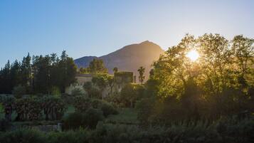 Surrounded by lush trees and a majestic mountain, this serene retreat offers a tranquil escape.