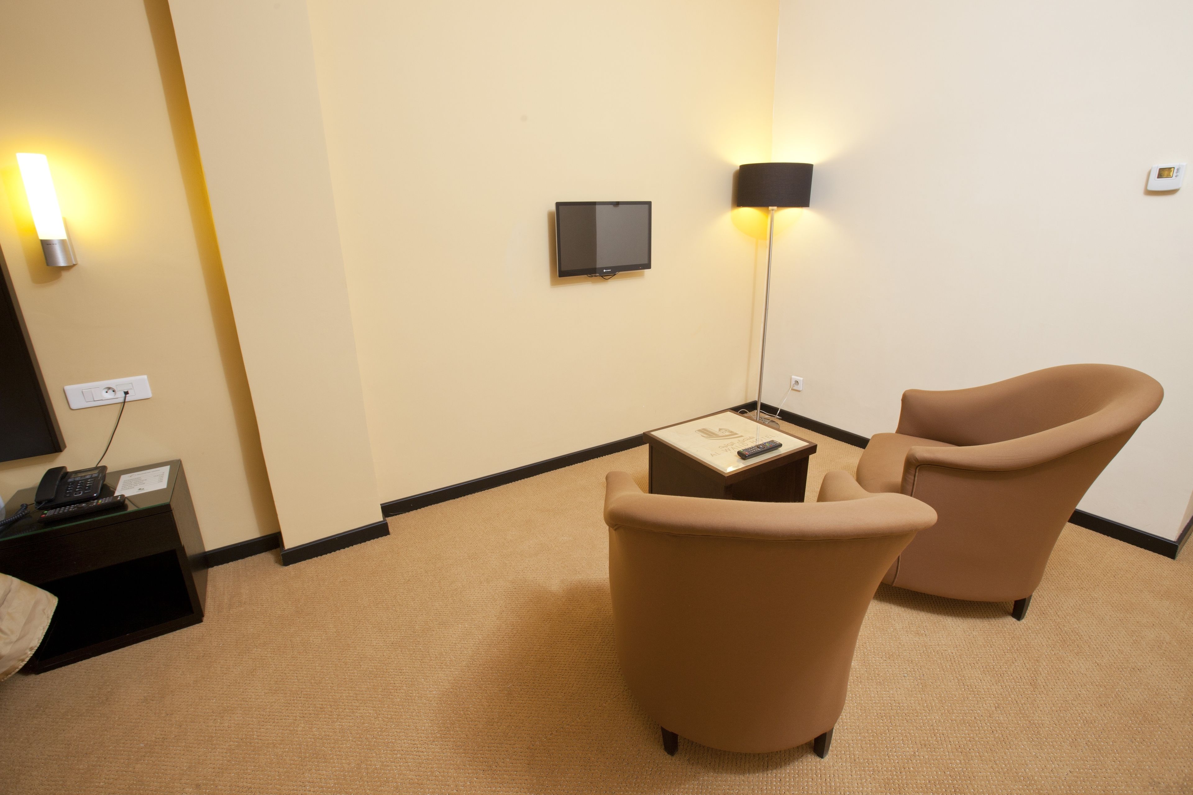 A hotel room with beige carpet, a desk with a telephone, a chair, a TV mounted on the wall, and a floor lamp.