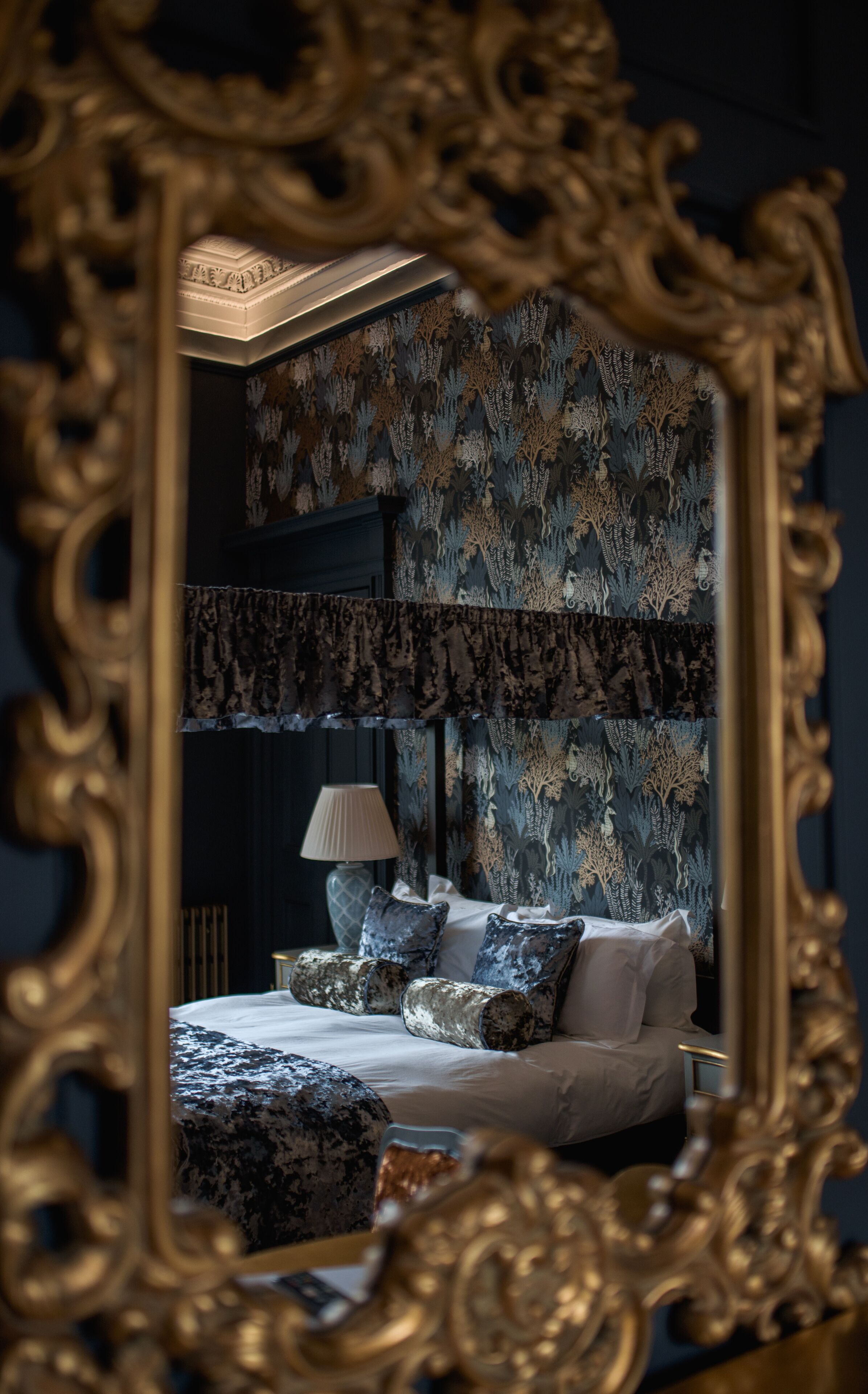 Foto - No11 Boutique Hotel & Brasserie