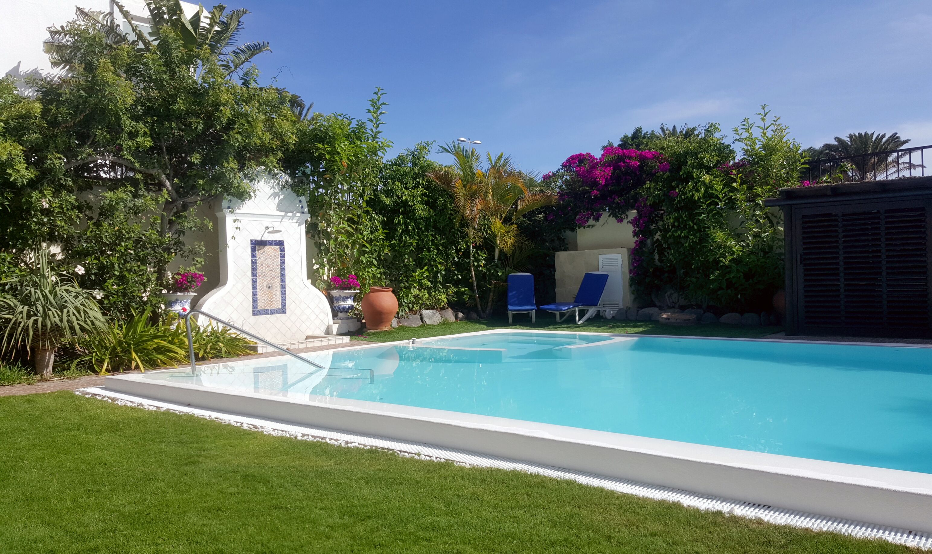 Una piscina con agua cristalina azul, rodeada de césped verde y diversas plantas.