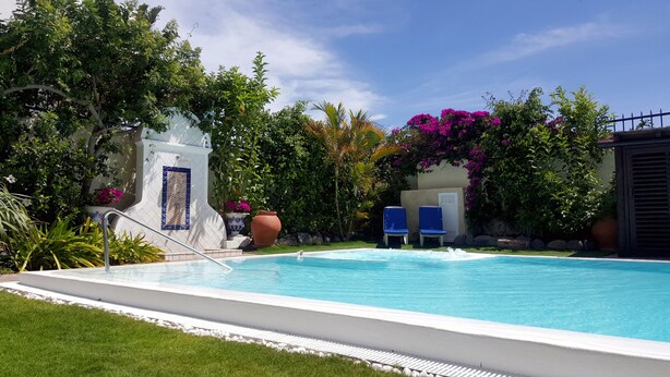 Une piscine entourée d’une végétation luxuriante et bordée d’un mur blanc orné de motifs en carreaux bleus.