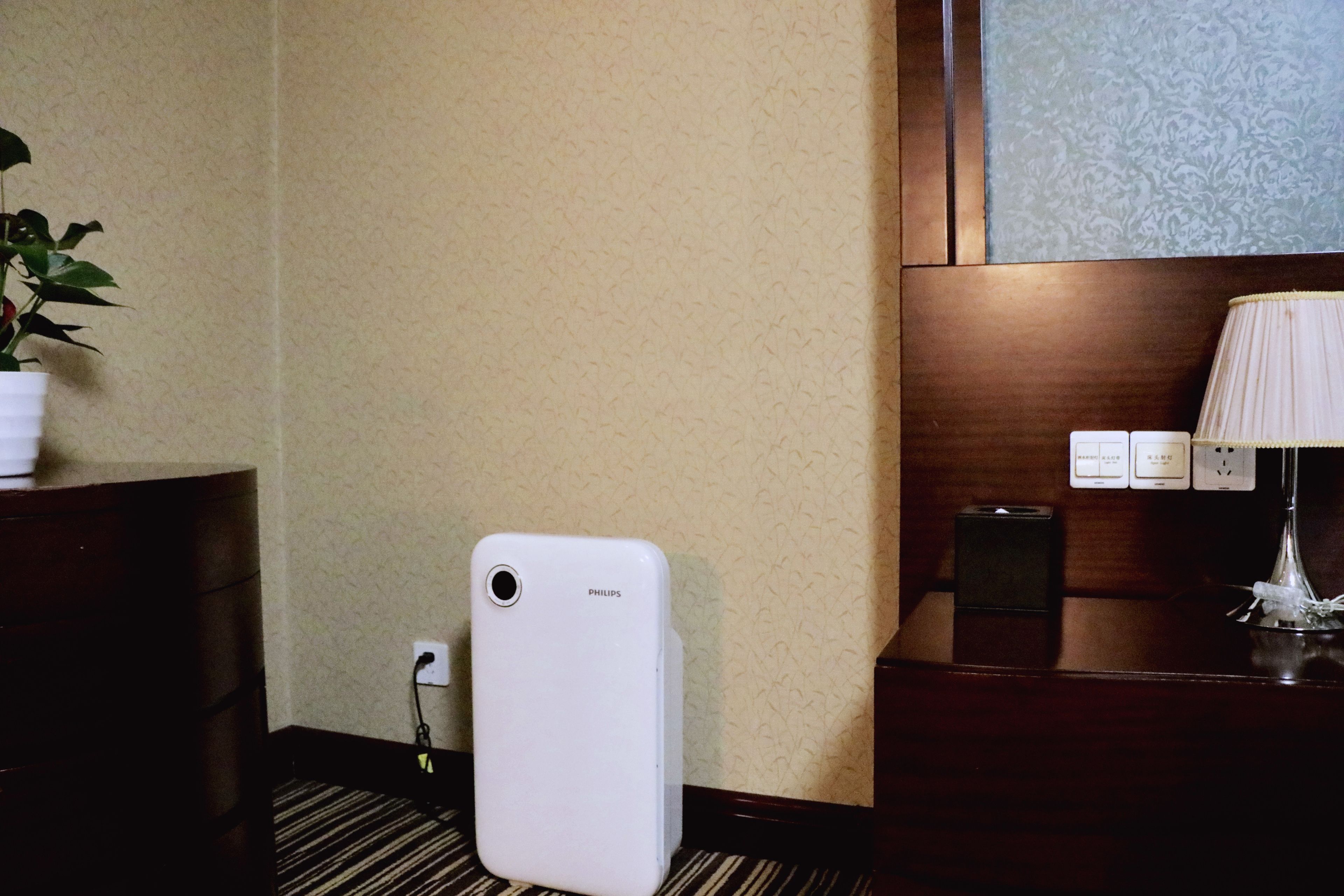 room (special room no window) | view from room