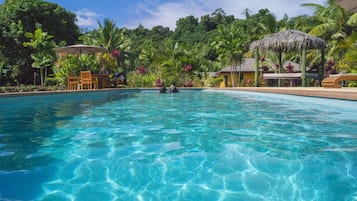 Outdoor pool, pool umbrellas, pool loungers