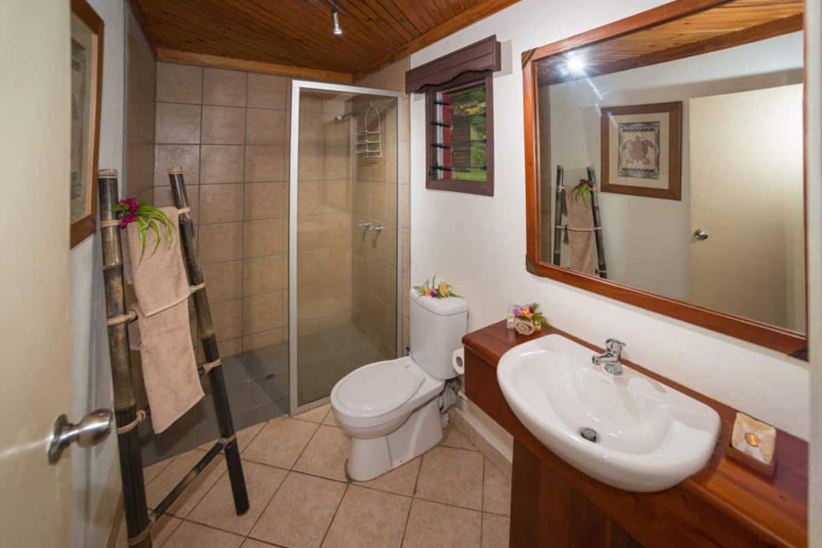 shower, free toiletries, hair dryer, towels