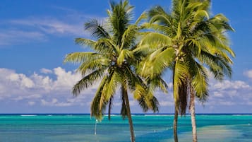 Quang cảnh nhìn từ nơi lưu trú