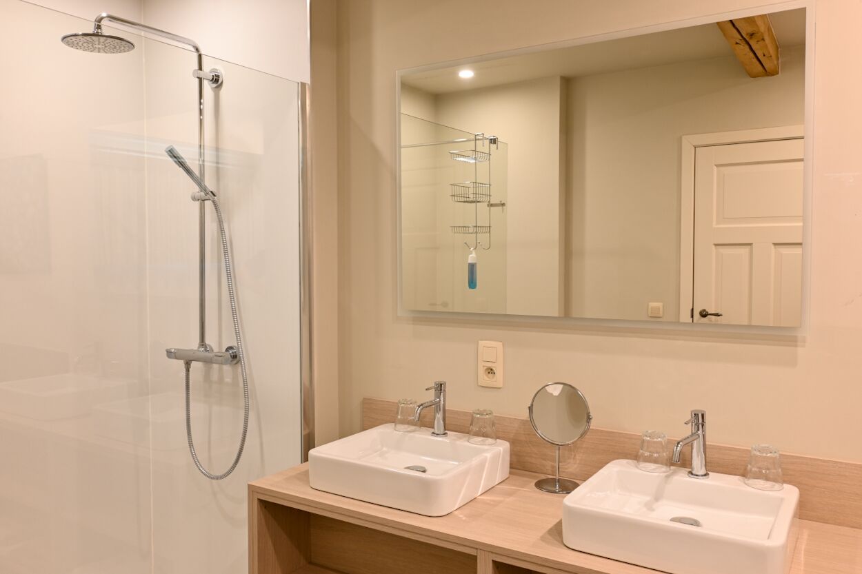 A modern bathroom with a glass-enclosed shower, two sinks with mirrors, and a glass showerhead.