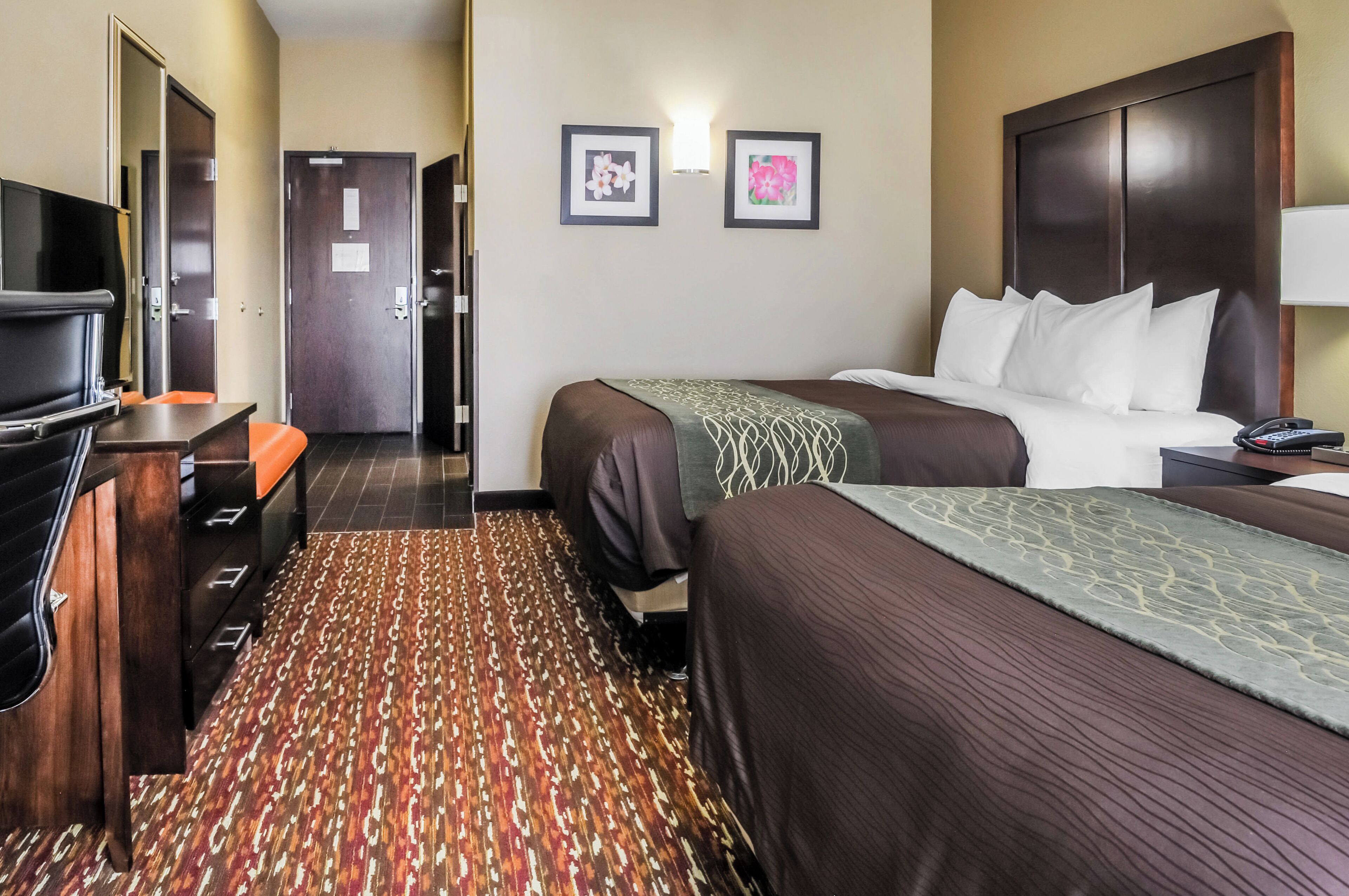 A hotel room with two beds, a TV, a desk, and a patterned carpet.