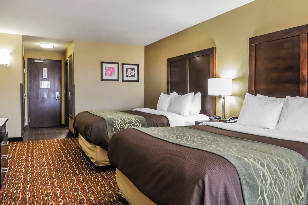Habitación de hotel con dos camas, piso alfombrado, una puerta y dos cuadros en la pared.