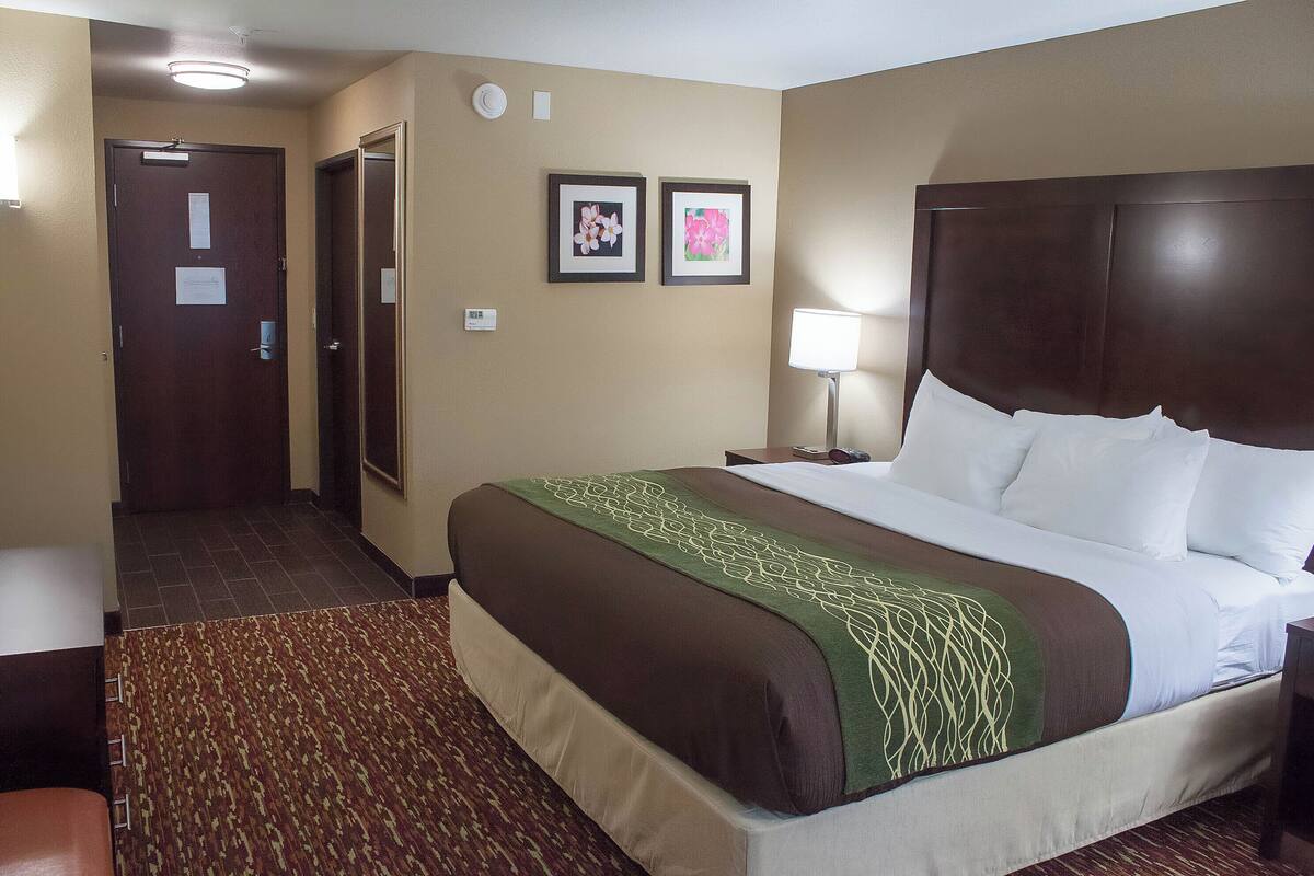 Una habitación de hotel con una cama grande, una lámpara de noche, una puerta y dos cuadros en la pared.