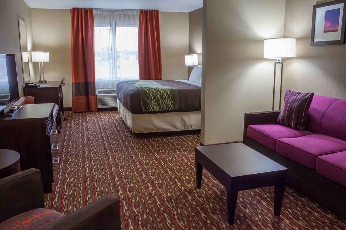 Una habitación de hotel con cama, escritorio, sofá y lámpara.