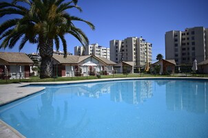 Una piscina con una palmera y edificios al fondo.
