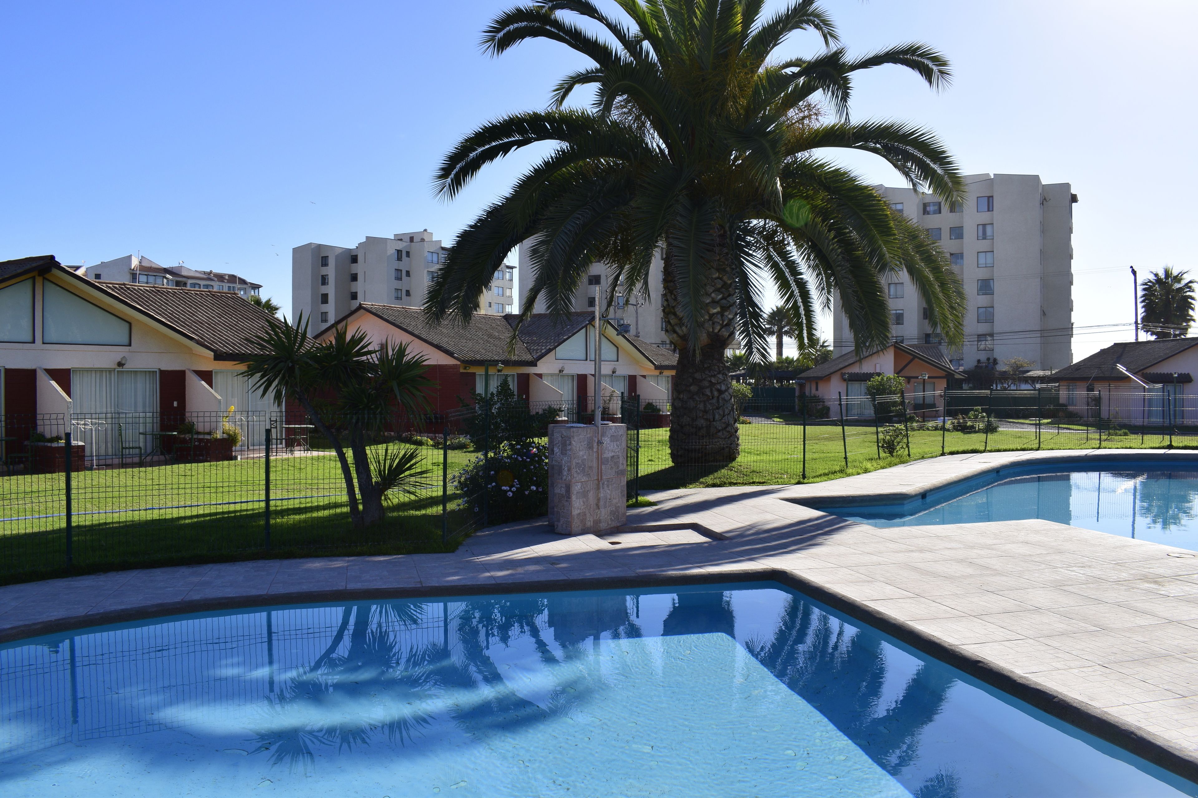 Una piscina dalla forma sinuosa, circondata da un'area recintata con palme e un prato.