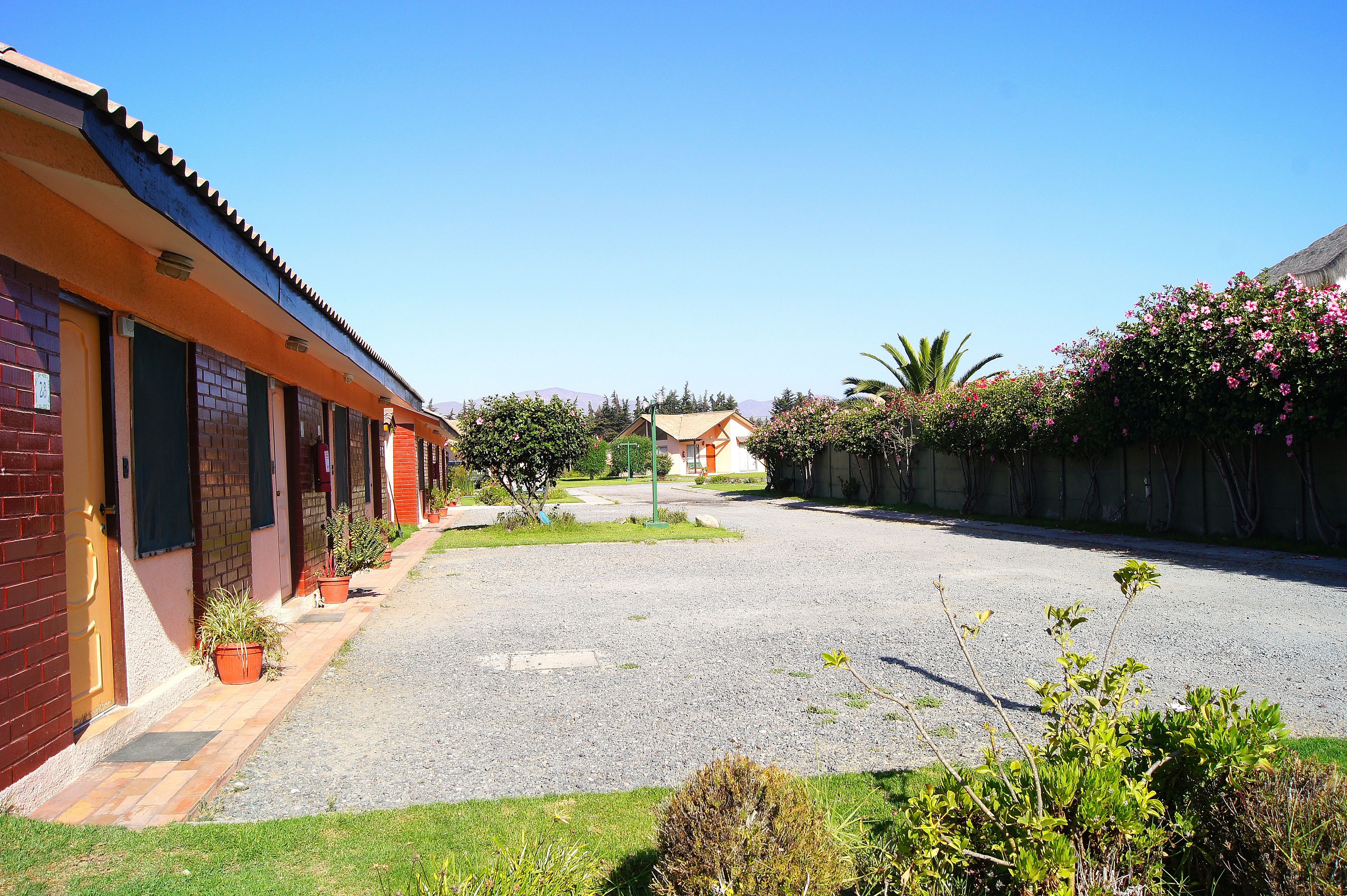 Una calle residencial con casas, camino de grava y plantas en macetas.