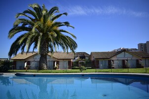 Una piscina con una palmera en primer plano, rodeada por una cerca y una hilera de casas con techo inclinado.