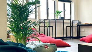 A room with a large window, a potted plant, red and blue cushions, and a small table with a plant. - Rucksack Inn Tyrwhitt Road (Singapore)