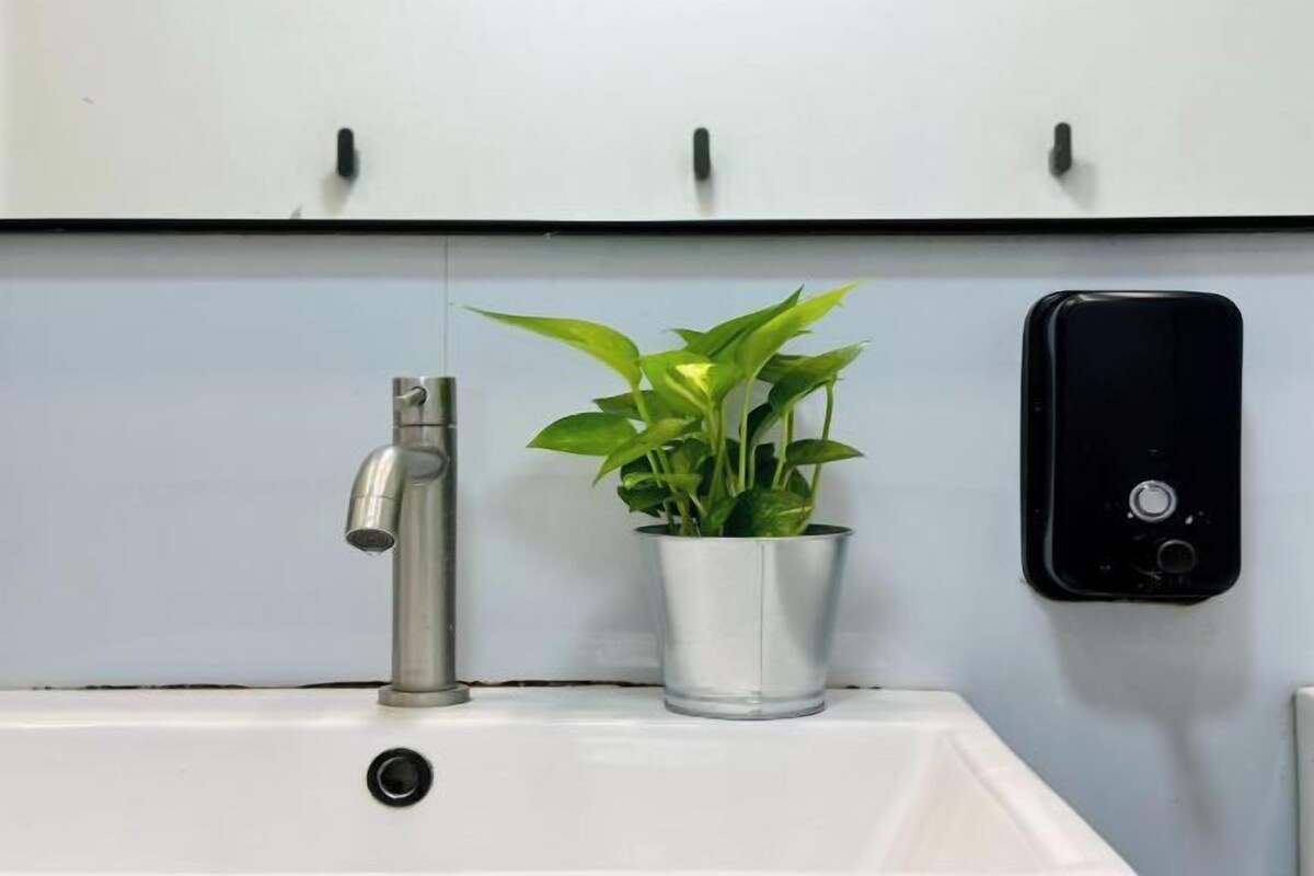 A bathroom with a white sink, a faucet, a potted plant, and a soap dispenser.