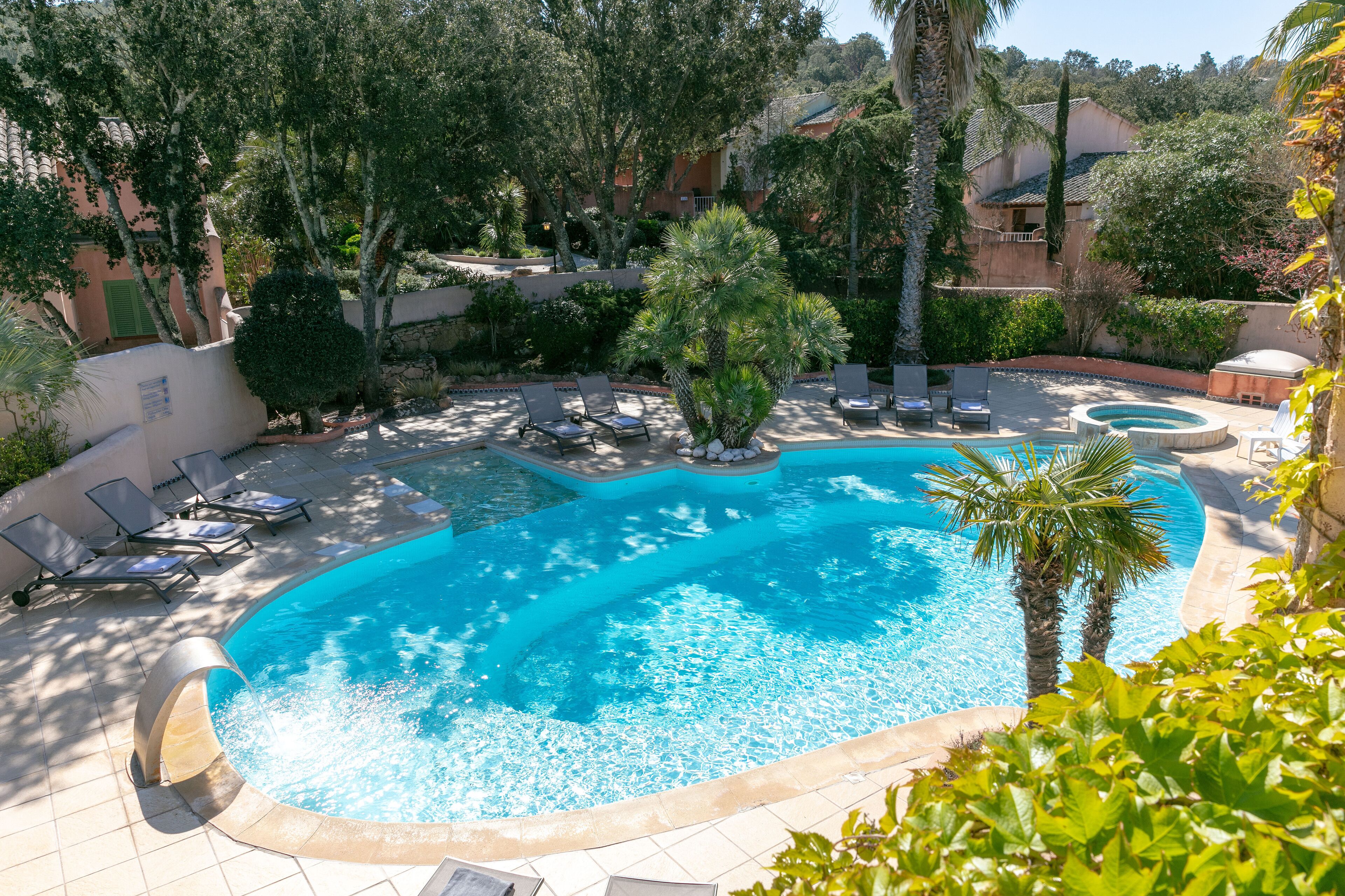 Una piscina con sillones de descanso y una palmera.