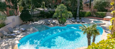 A swimming pool with lounge chairs and a palm tree.
