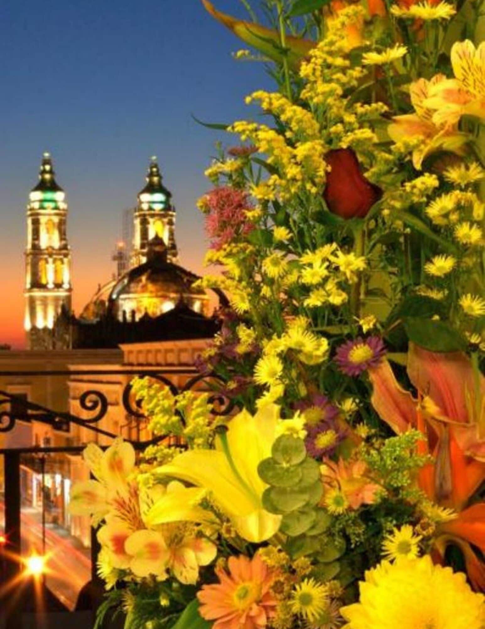 Foto - Hotel Plaza Colonial