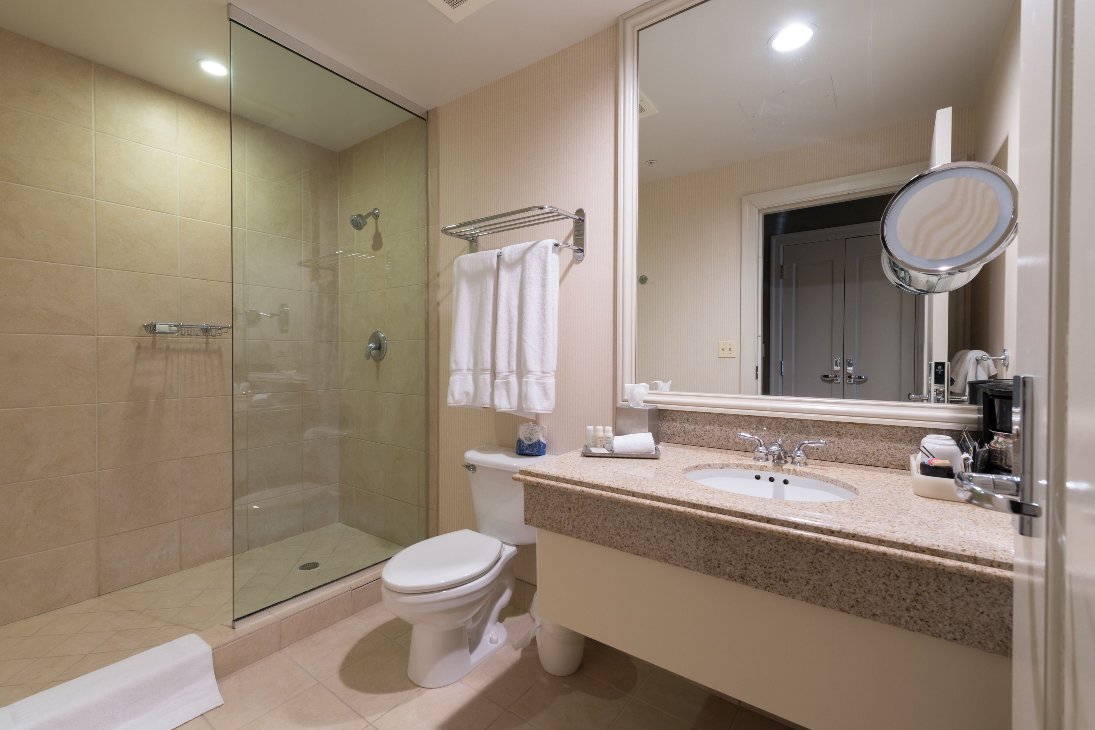 shower, free toiletries, hair dryer, towels