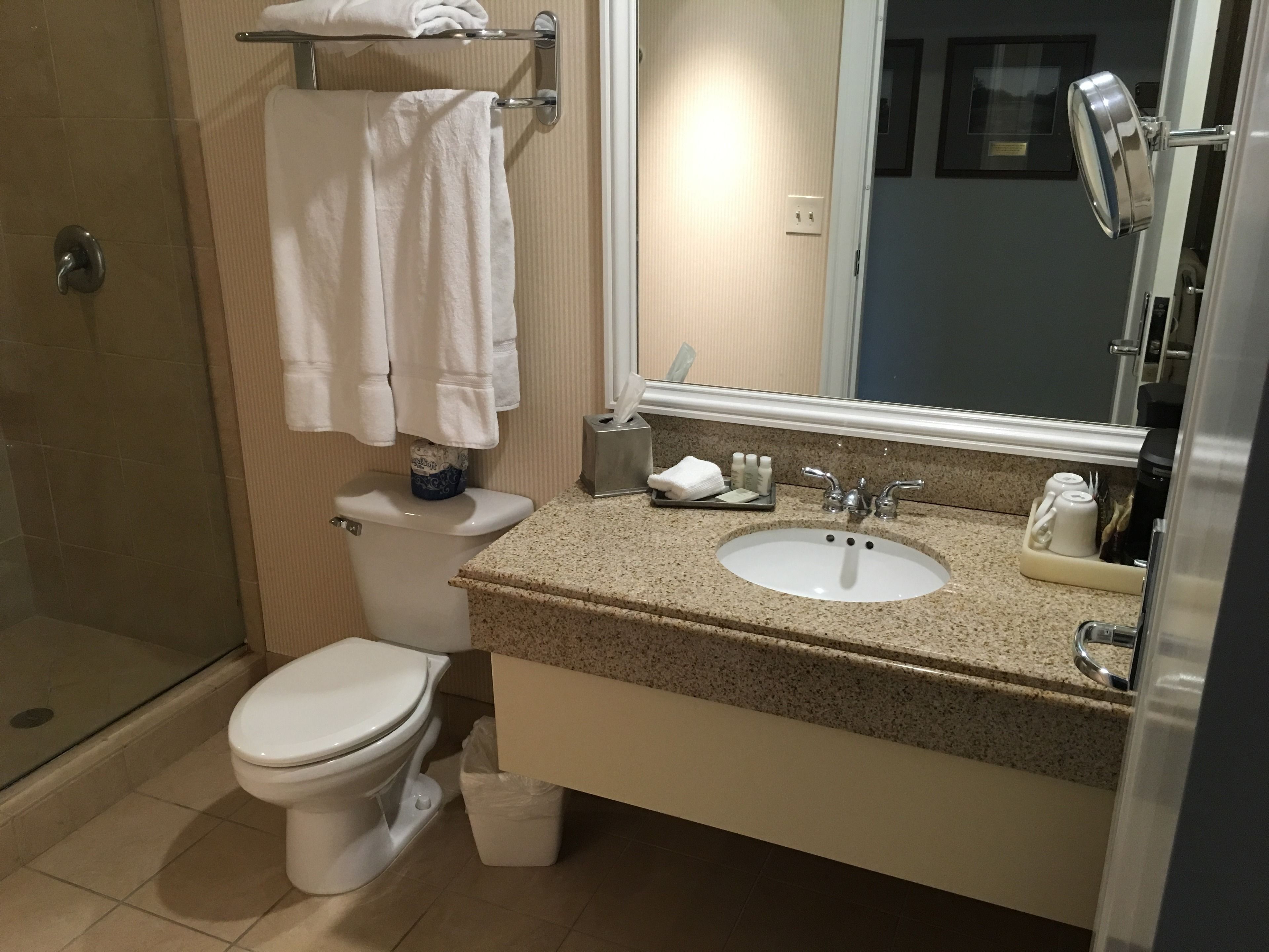 shower, free toiletries, hair dryer, towels